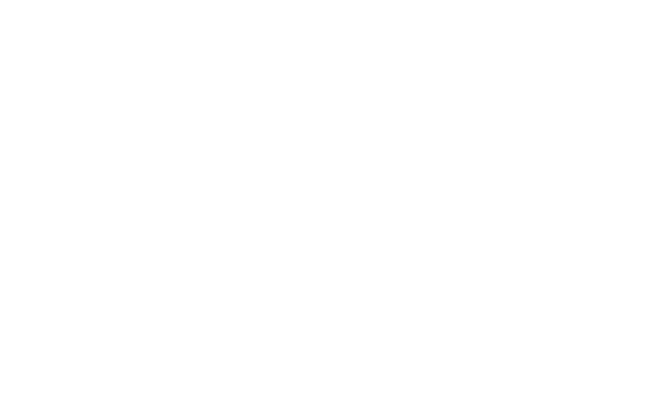 Steenekamp & Kloppers Attorneys